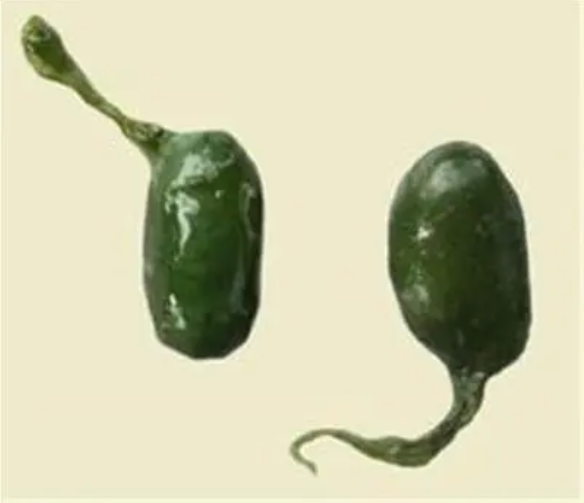 微信圖片_20230403144719.png undefined